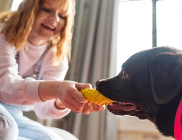 Teaching Your Puppy to Settle and Be Happy at Home